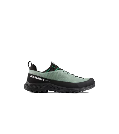 Mammut Alnasca IV Low GTX Men