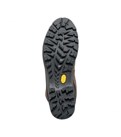 Планински обувки Scarpa R-Evolution GTX M's
