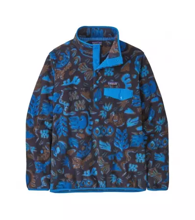 Полар Patagonia Lightweight Synchilla Snap-T Fleece Pullover W's Winter 2025