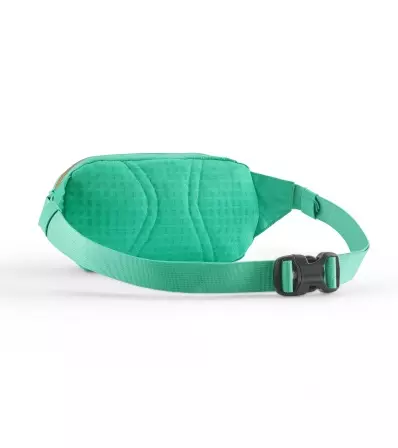 Patagonia Terravia Mini Hip Pack 1L