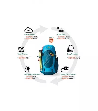 Gregory Amber 54L